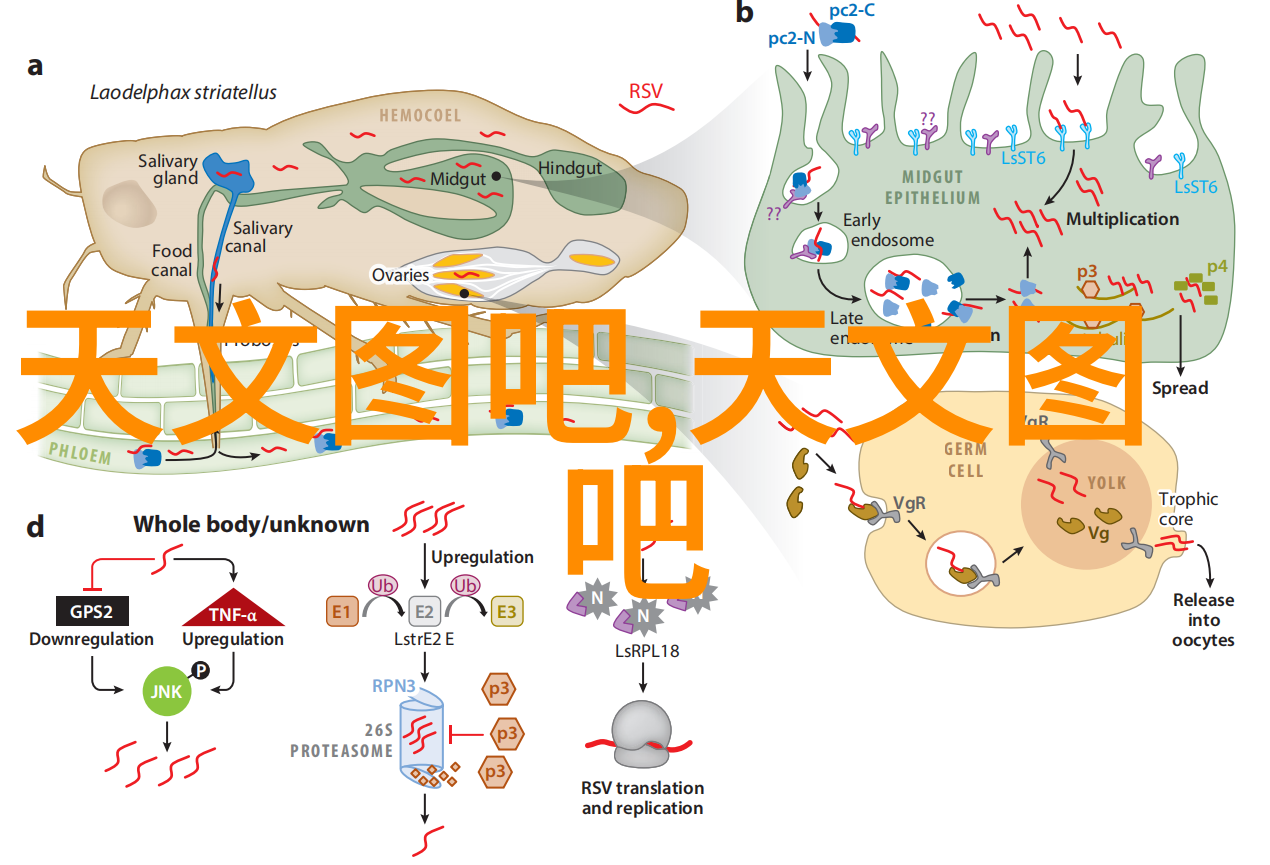 心跳的守护者汽轮机动平衡仪在仪器仪表行业中的重要角色