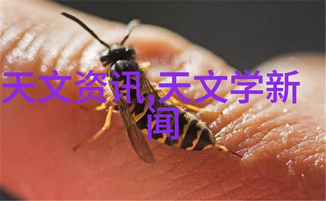 除了简单地切片以外还有没有其他更创意的方式来准备要入厨房的大甜食新鲜出土的小甜黄心番茄以备用在微波煮