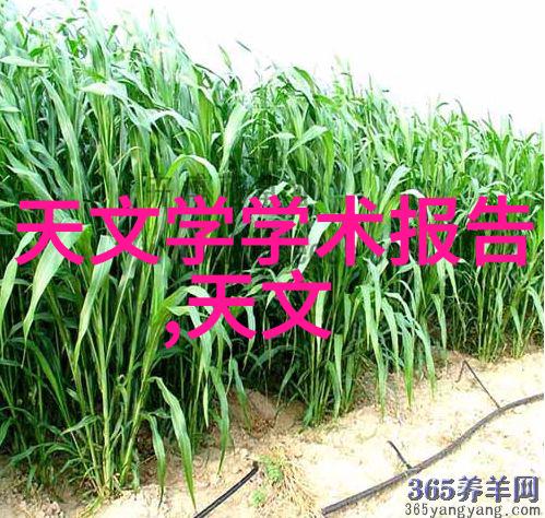 2022年全球芯片供需紧张背后的科技巨变