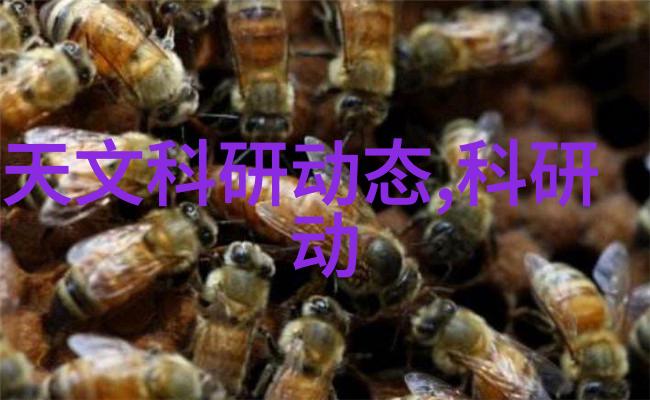 西南财经大学研究生院我在这里的日子是多么充实和精彩