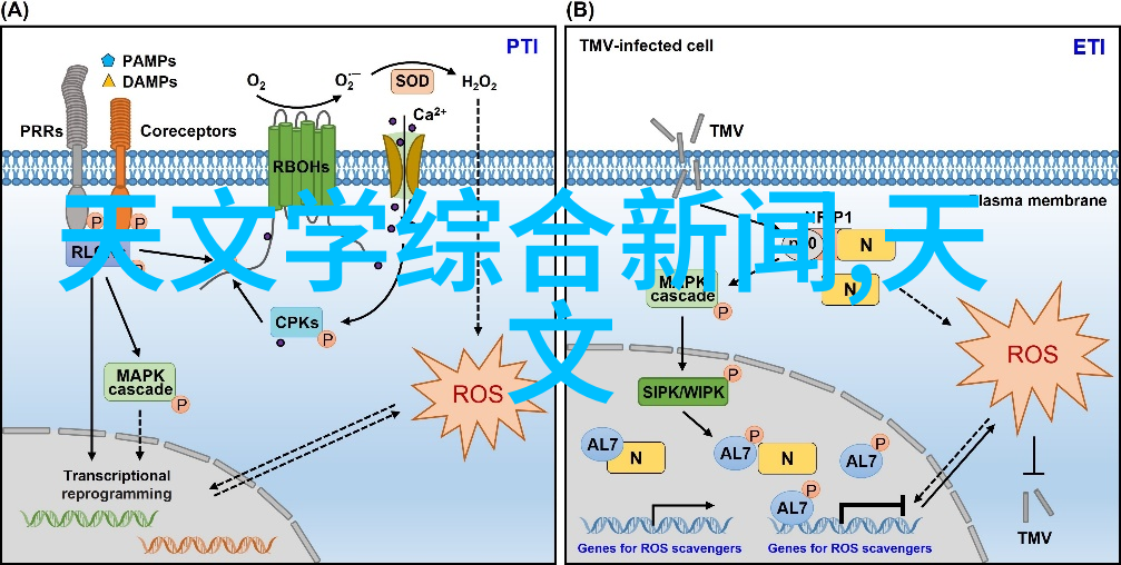 楼房简约装修效果图-轻盈雅致现代简约风格楼房装修艺术探索