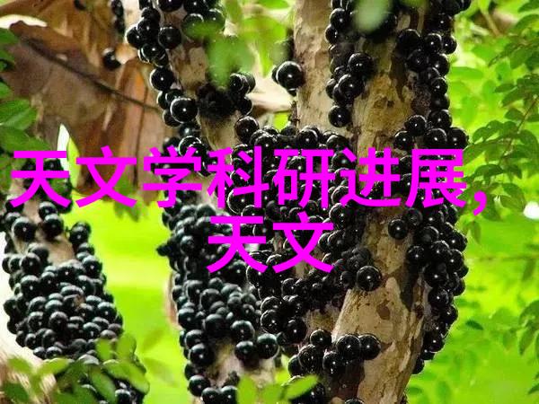 晓星孤屿夜幕下的守望晓星孤屿的灯塔传说