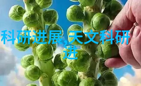 深圳装修设计解锁家居美学的秘密之谜