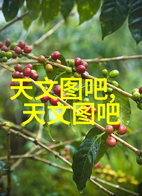 织梦高塔丝网填料750塔板的奇迹构建