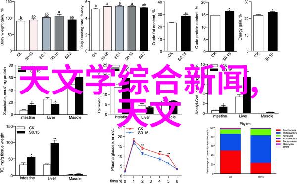 数据驱动家装如何运用沥青混凝土进行高效防水工程