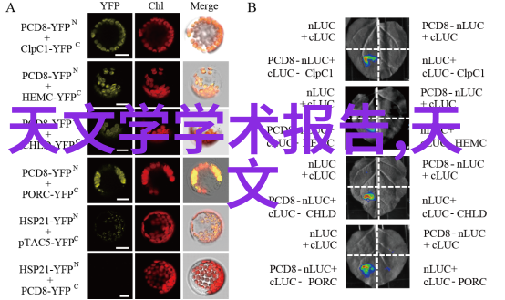 光刻机概念股的龙头企业领先半导体制造设备供应商