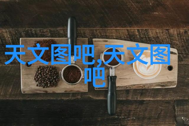 微波炉与烤箱的区别加热方式与烹饪效率的对比