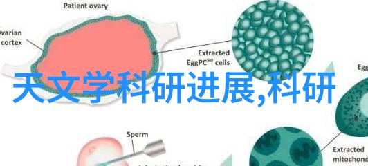 职场探险免费试驾你的职业梦想