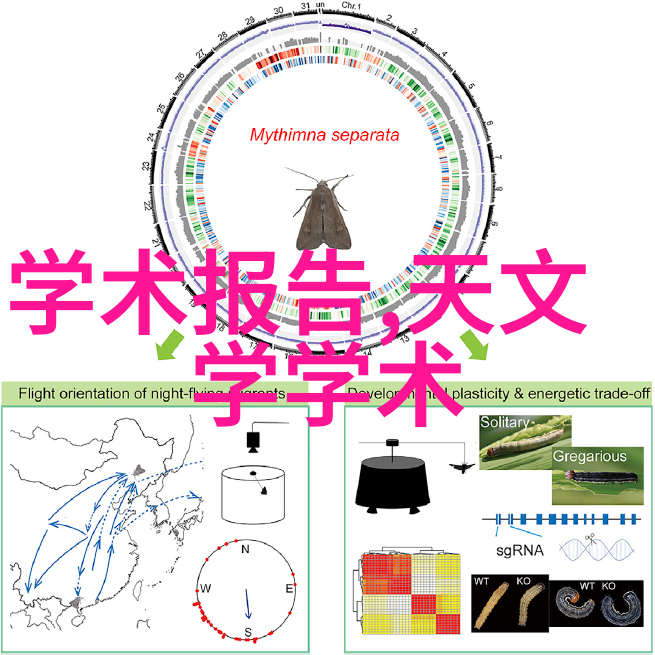 记录变迁展现美丽新时代的中国十大摄影师