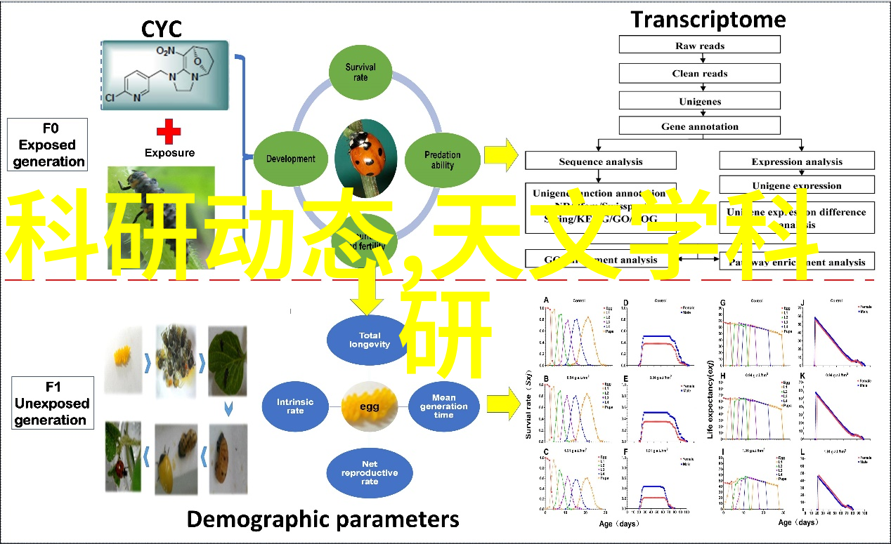 家居美学打造完美大客厅装修风格