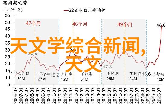 项目可行性报告模板结构与步骤详解