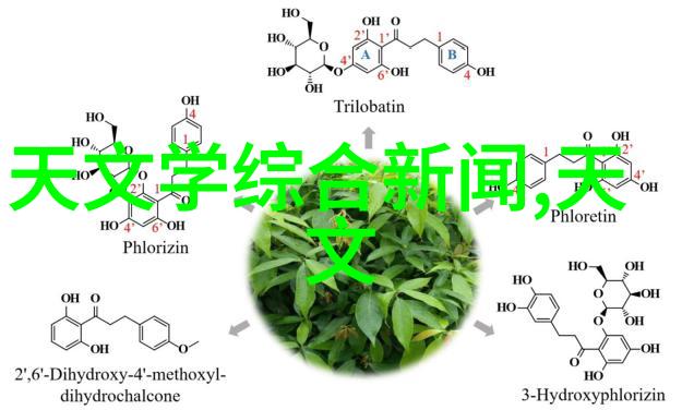 用户案例研究F5和D500的对比分析哪个更适合你