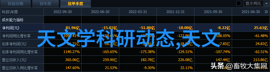 ZZVZZC型自力式微(差)压调节阀