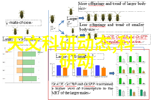 黑儒传全文阅读揭秘古代武侠世界中的隐秘力量