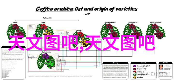 波多野结衣家教线观看探索角色魅力与教育价值