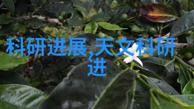 绿色出行智慧生活山东外高院推广环保意识