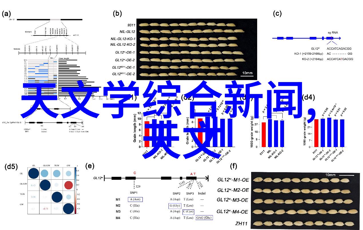 辽宁工程技术大学辽工大