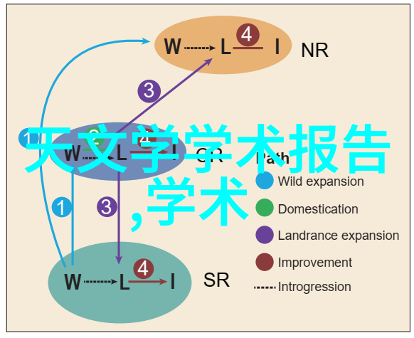 筏板基础-构建稳固的浮动结构原则与实践