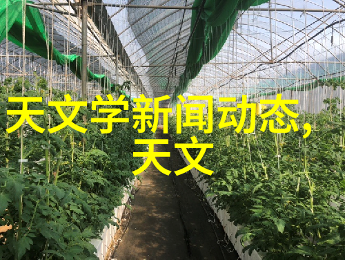 微波杀菌机工作原理探究非热能杀菌的科学奥秘