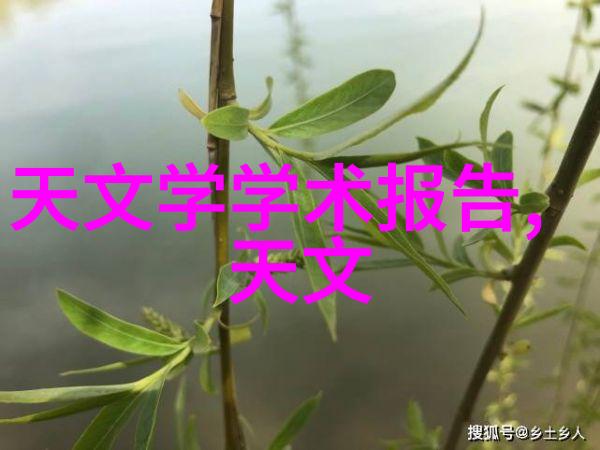 兔宝宝的花园奇遇毛茸茸的小脚步与鲜花间的跳跃