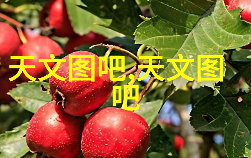 管道防腐-预防腐蚀确保水利工程的长期安全与效能