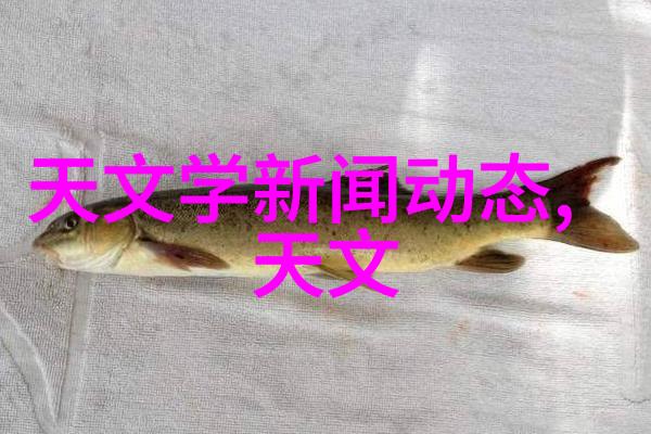 化工密封件设备我来教你如何选对它