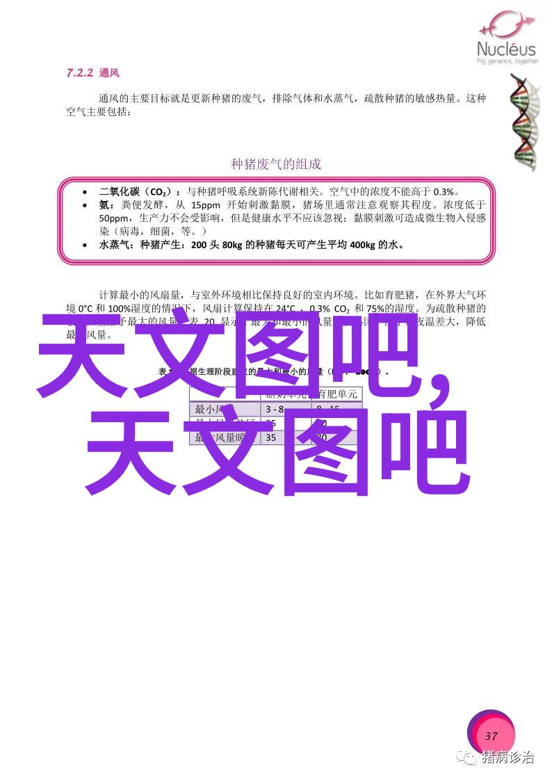 胸膜深层刺激技巧揭秘长时间亲吻的艺术与科学