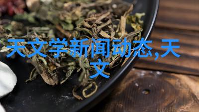 橡树摄影网专业写真拍摄服务平台