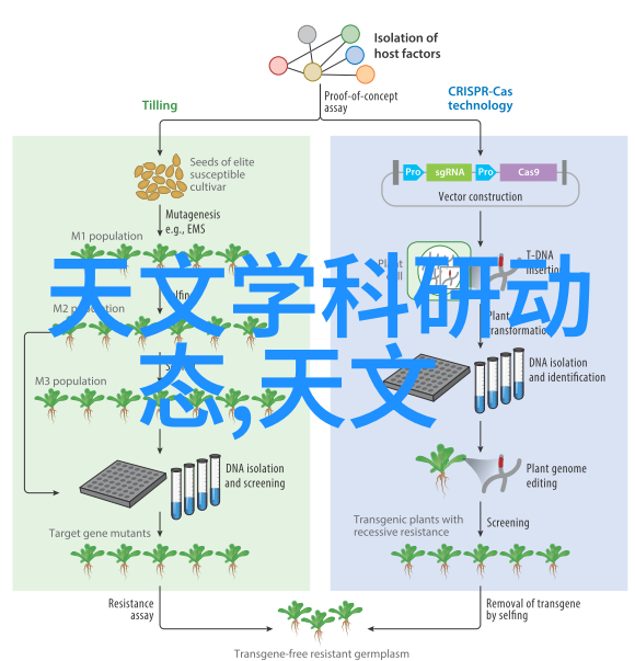 AI技术如何改变我们对照片编辑和修饰的理解