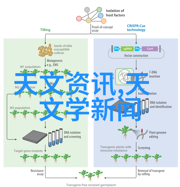 镜头中的梦想尼康D5000的诗意篇章