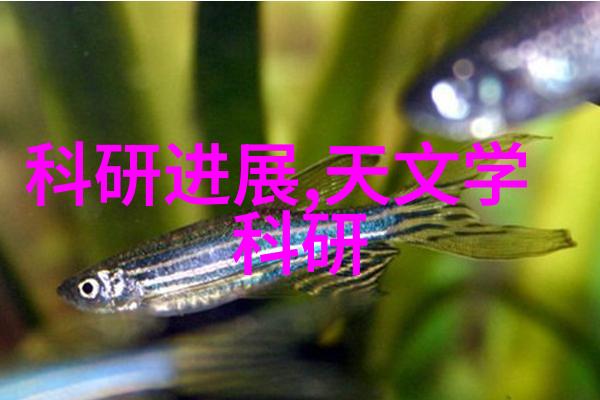 天津防水补漏保卫城市墙壁的坚守与智慧