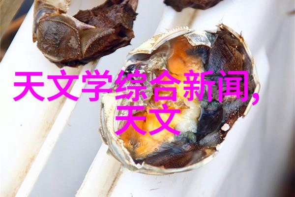 房子装修设计艺术从空间规划到细节完美