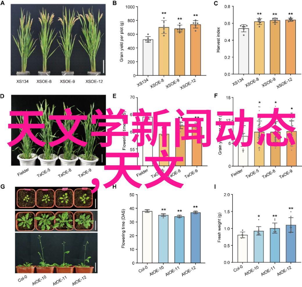 精密测量工具水平仪的应用