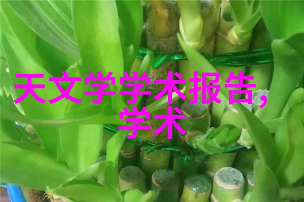 木塑地板-实木风采塑料耐用木塑地板的双重魅力