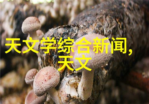 人像创意摄影经典图片我的故事如何捕捉生活中的精彩瞬间