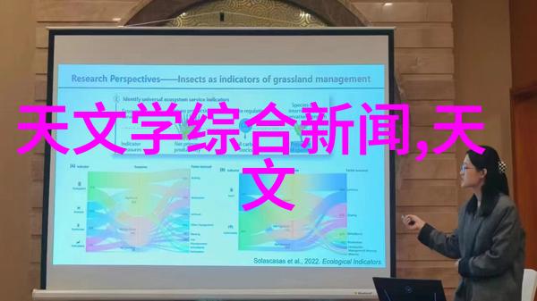 触摸岁月仿石砖的温馨家居效果图