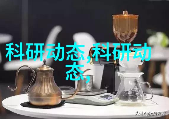 家电百宝袋常见的小家电及其应用概览