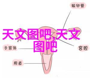 石韵古今大理石的沉默美学