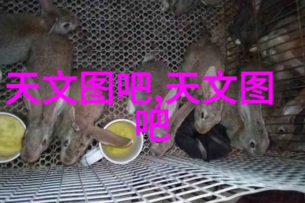 金属与石材幕墙工程技术规范构筑现代建筑的坚固防护