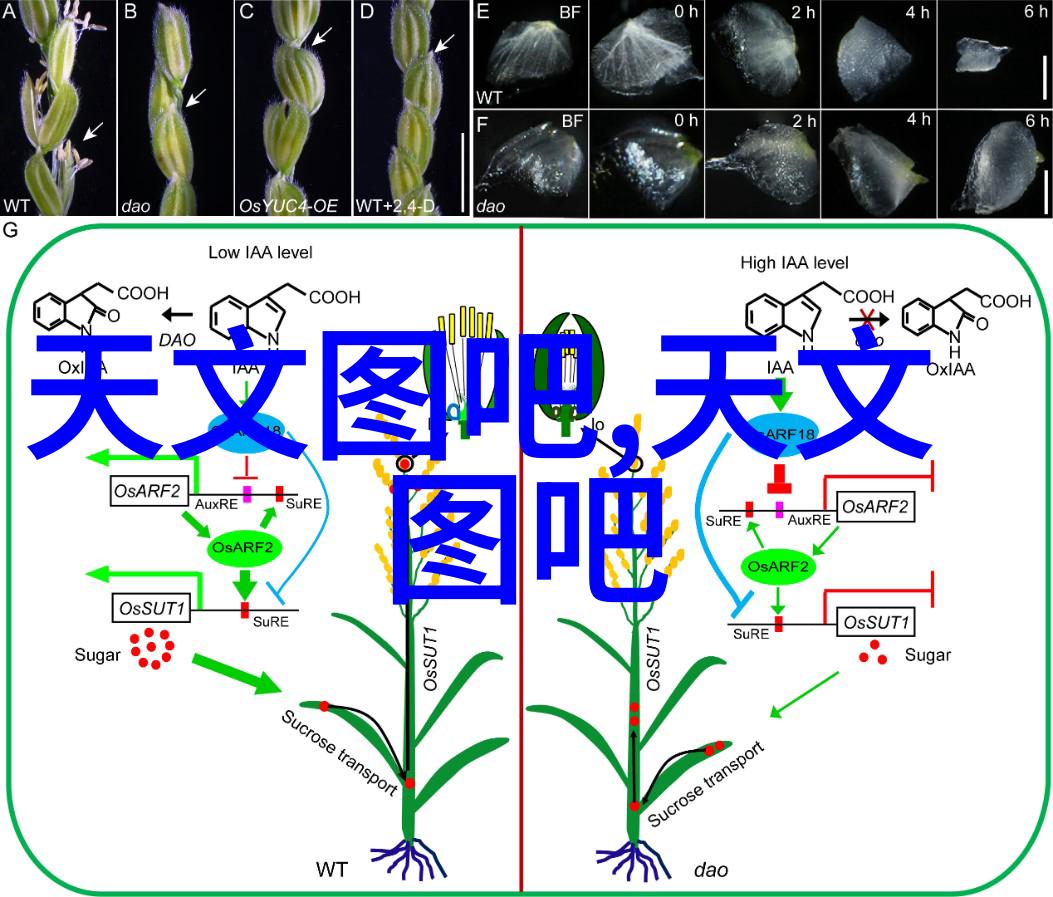 山西财经大学铸就学术辉煌的历史与未来