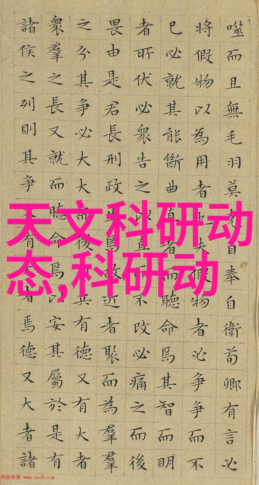 野花社区观看免费观看视频6大全我在这里教你如何找到那些隐藏的好看视频