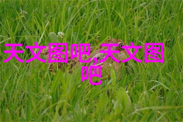 苹果手机13闪耀先锋荣耀80 Pro荣获年度最佳奖项2022年IT影响中国的双重盛宴