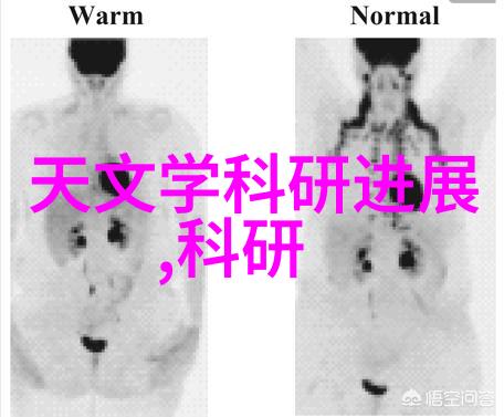 兔宝宝的花园奇遇跳跃爱与温暖的故事