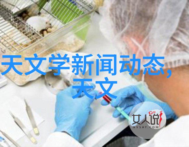 家庭美化新篇章签订装修合同的重要性与细节解析