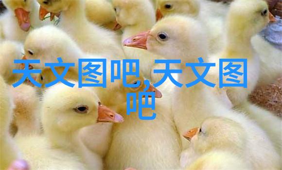 南京财经大学红山学院学术研究与创新实践的交汇点