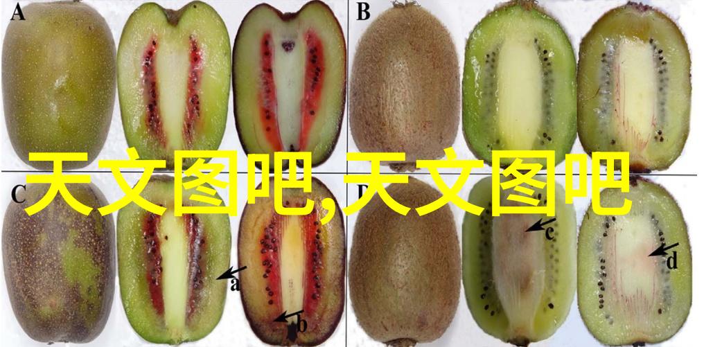 保洁我是如何学会在家做到一尘不染的