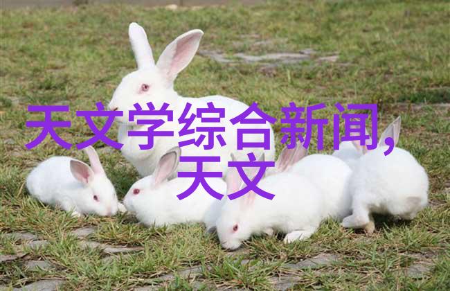 贵州省份实验室设备更新记录