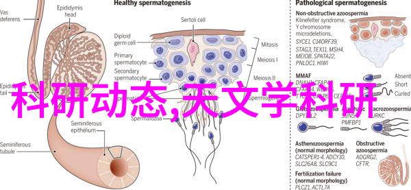 房屋简约装修效果图-简约生活空间与美感的和谐共处