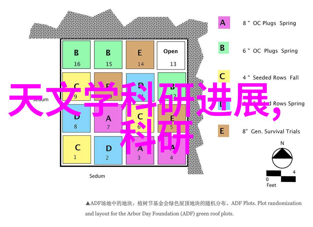 拍照技巧与方法捕捉生活美好瞬间的艺术