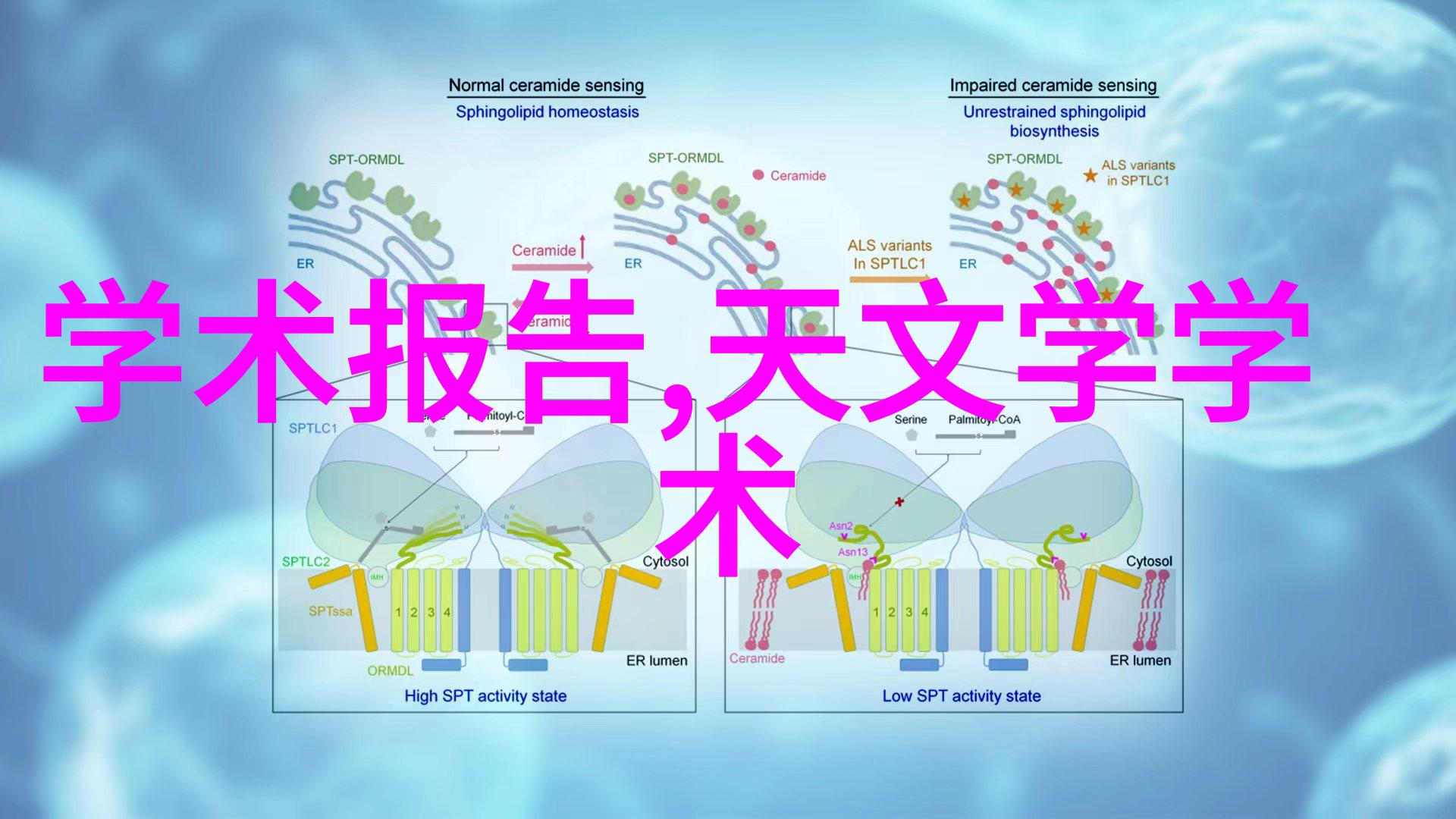 新乡职业技术学院我的技能栋梁